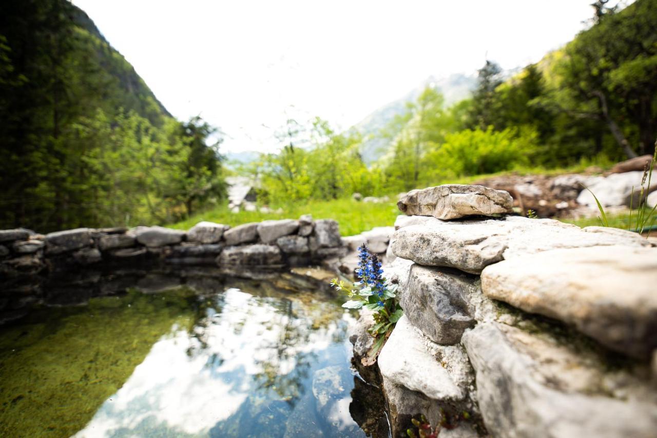 Wild Flower Cottage In เทรนตา ภายนอก รูปภาพ